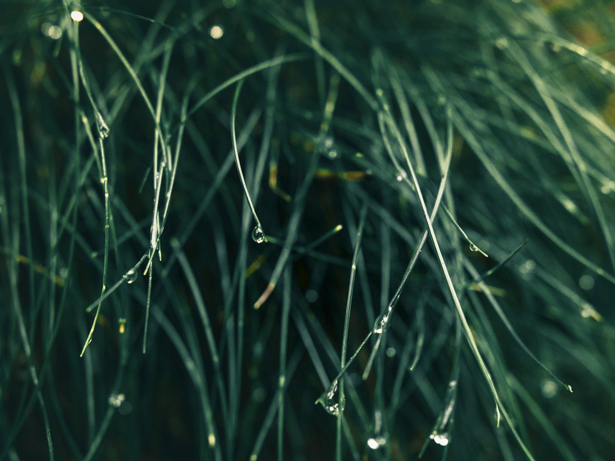 Bien Voyager tweet media