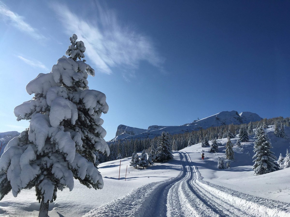 hautesalpes's tweet image. #EnDirect du @ledevoluy 🙌 
Les images parlent d'elles-mêmes, non ?! 🤩 #myhautesalpes #devoluy