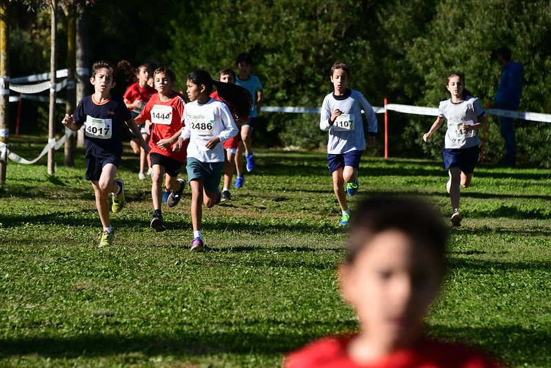 ajsantcugat's tweet photo. Atenció! Aquesta tarda a les 18:30h s'entreguen els premis del #Cros21Stc a la Plaça Barcelona 🥇🥈🥉

Us esperem a tots i totes! 🏃‍♀️🏃‍♂️

#SantCugat @omet_santcugat @GemmaAristoy #ometesports #santcugat #crossantcugat https://t.co/VOApGChyHS