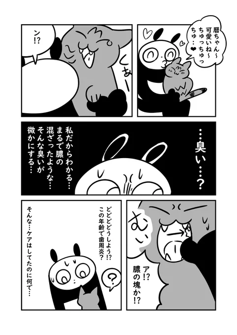 猫の口に異物があって病院に駆け込んだ話 #ぬら次郎日記 