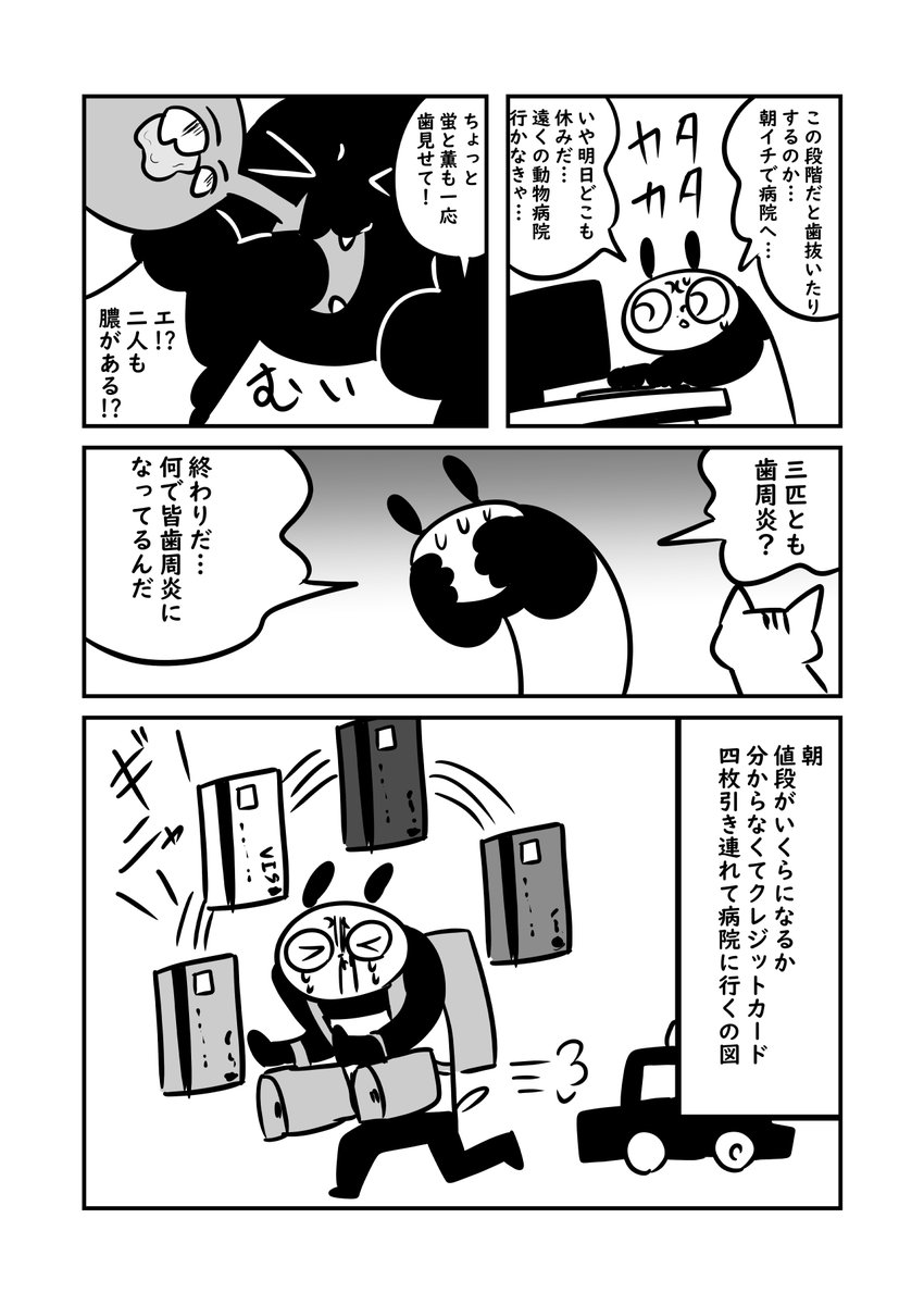 猫の口に異物があって病院に駆け込んだ話 #ぬら次郎日記 