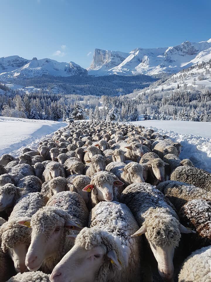 EBrocardi's tweet image. #Neige #Devoluy 
La file d’attente a commencé dans le @ledevoluy alors que la station n’a pas encore ouverte ! 
Les premiers a en profiter les veinards !
Besoin de @La_Pollice pour faire réguler tout ça !
