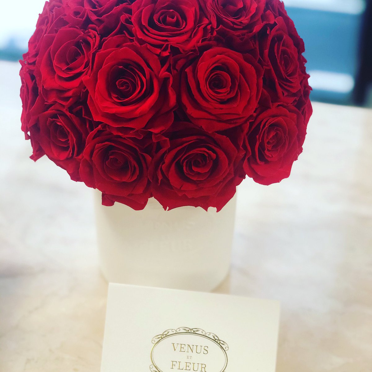 Venus Et Fleur At Venusetfleur Twitter