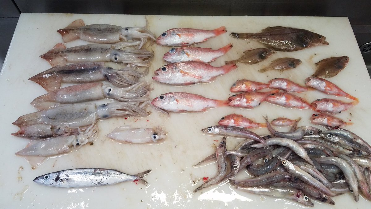 あんこう食遍歴