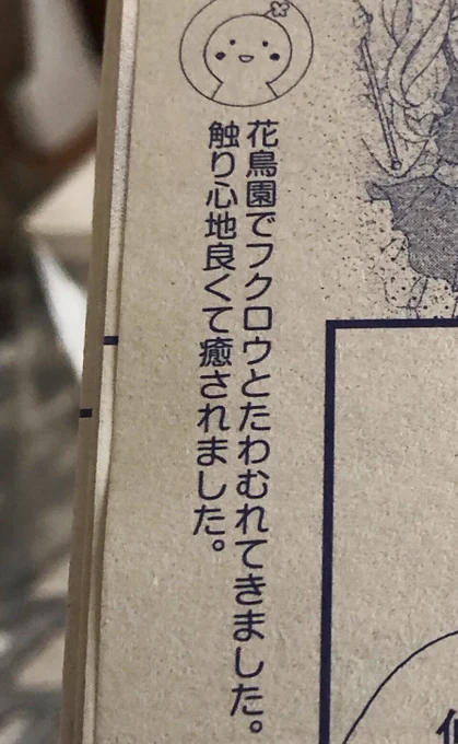 9月売りの号の柱にチラッと書いてた掛川花鳥園のフクロウとミミズクたち?かわいかった〜
最後のは不敵な笑み顔のまま微動だにしなかったハシビロコウさん 