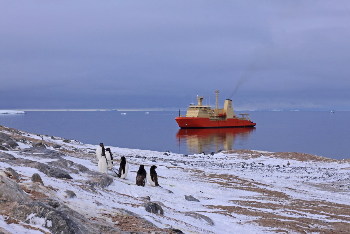 As teams from @BAS_News and @NSF_OPP depart to @ThwaitesGlacier in West Antarctica this week, here are a few of my favourite photos from our last field season.

Good luck this year, all!

Read more here: bas.ac.uk/media-post/sci…