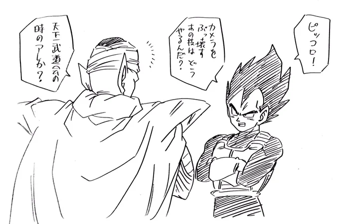 ピッコロに相談するベジータ  