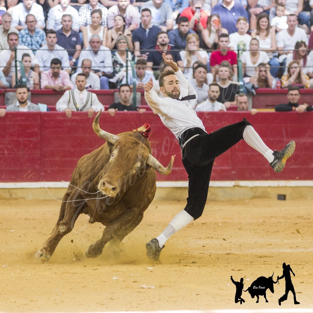 Tras los primeros votos de la encuesta tomamos nota 

En la mañana del 12 de Octubre @cesar_grasa se proclamo vencedor del concurso Goyesco de la capital maña <a href="/TORORECORTE/">TORORECORTE</a> <a href="/CosoZaragoza/">Coso de la Misericordia</a> 
#fiestasdelpilar2019 #tradiciontaurina #campobravo #campo #toreo #traficion #tauromaquia