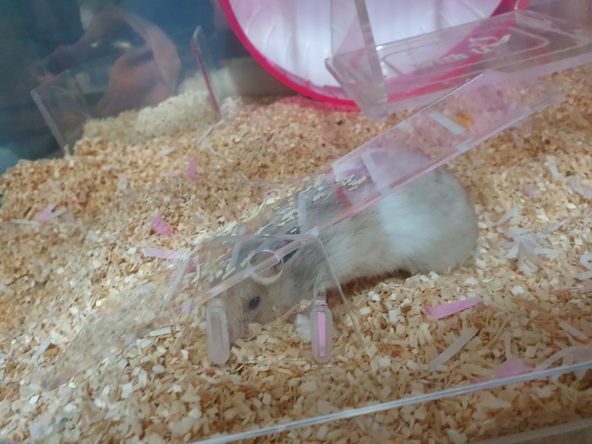 거기서뭐하시욥!!!!!!