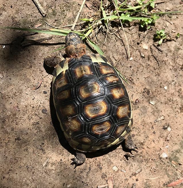 Natures Valley Trust tweet media