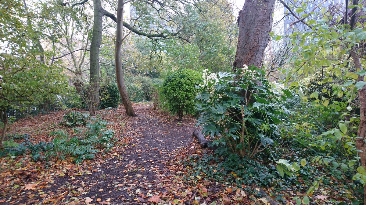 PortsmouthGeog's tweet image. Rain doesn't stop play here! Our 2nd year students have been out evaluating the intergenerational credentials of a local #greenspace for our Social Identities and Place module #fieldworkisfun