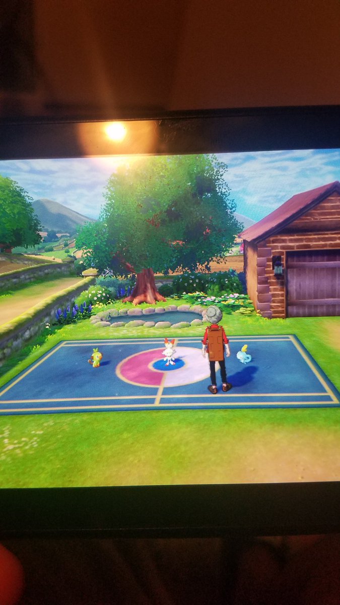 Scorge1011's tweet photo. Had such a hard time picking this time around. The final evolution on each looks amazing! Streaming Pokemon tonight on my facebook page at Scorge101. Come say hello while we catch them all! #PokemonSwordShield #SobbleSquad #pokefever #gottacaththemall https://t.co/2u0fmMwkf5