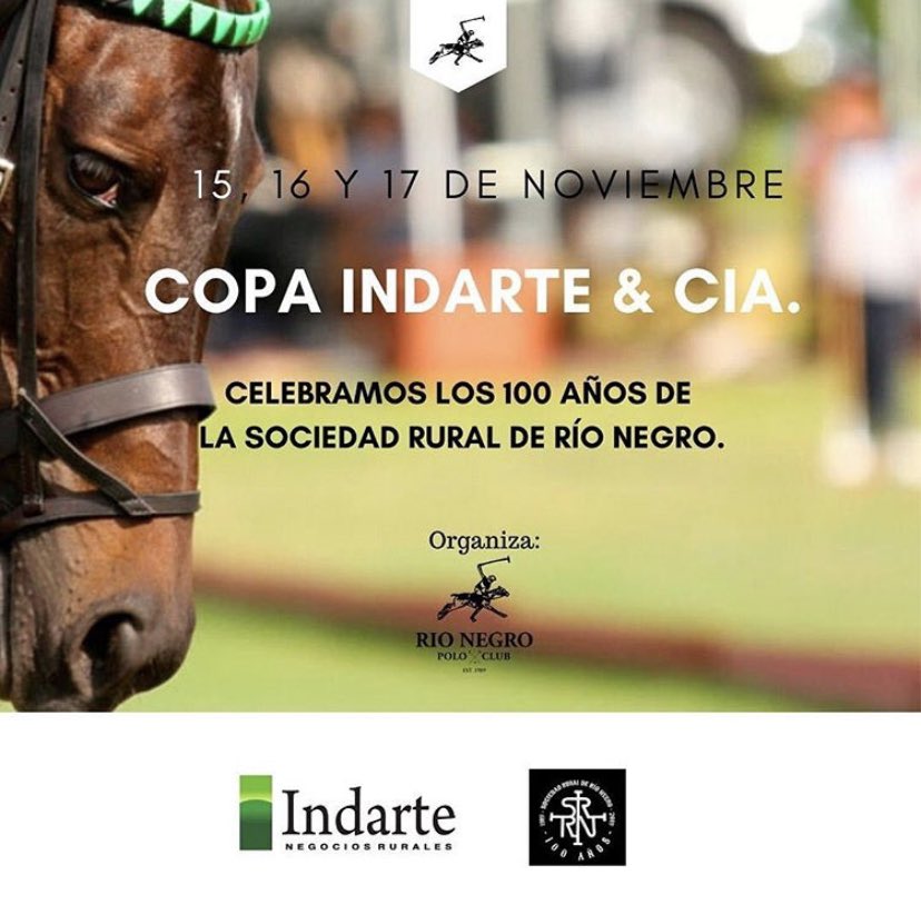 Río Negro Polo Club tweet media