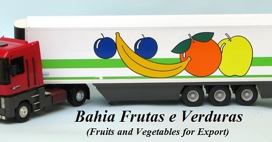 Hello.

Does your company need to buy fruit produced in Brazil? Talk to us, our company is prepared to meet your company's request with quality and efficiency.

Contact whatssap: +5585992592357