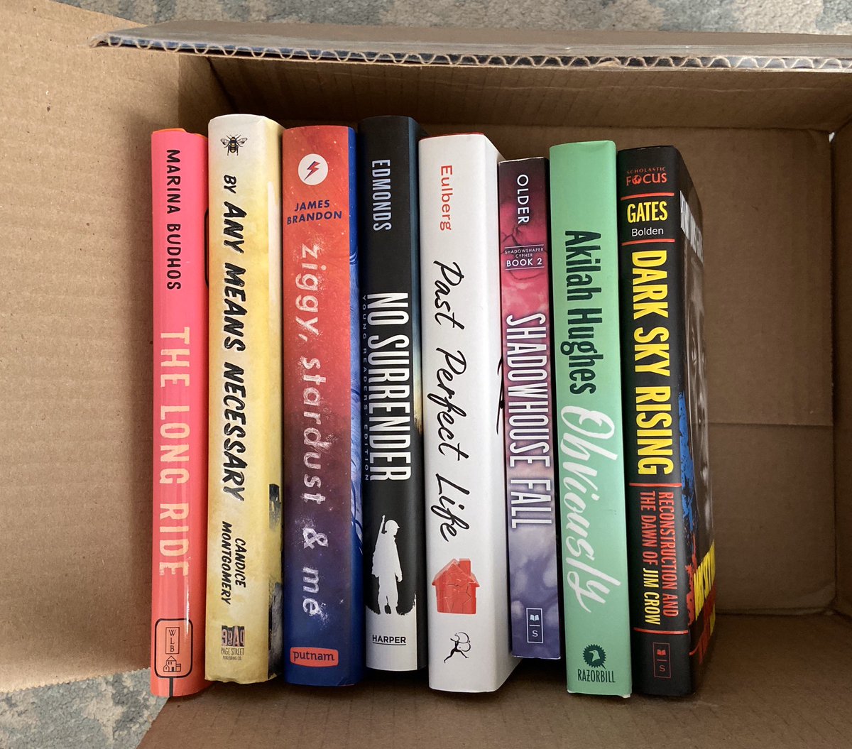 ✨Book Giveaway!✨Follow &amp; R/T to enter! Indicate which box you would like in the comments (picture book, middle grade, or YA). I’ll add signed copies of Vanderbeekers 1&amp;2 in the MG box. I’m doing this every wk, so stay tuned! Contest ends 11/15 @ 9pm EDT. US only. #KidsNeedBooks