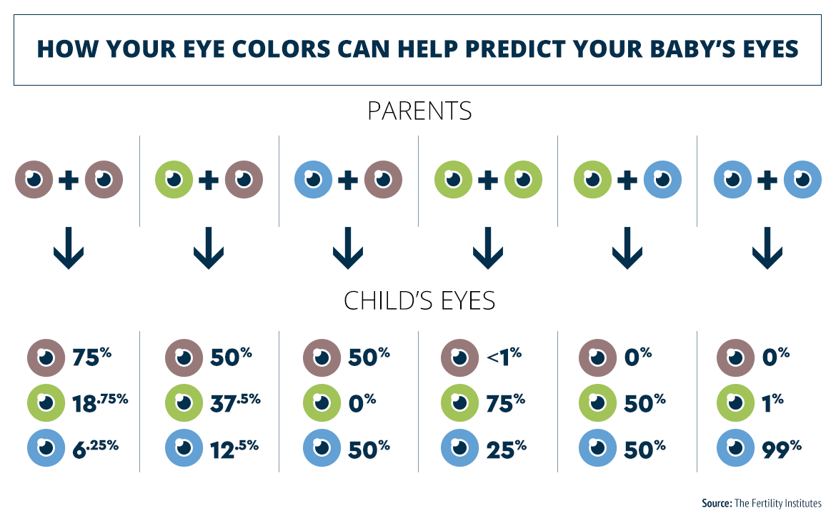 BookZebras's tweet image. Don talks about #eyecolour  👀👁️inheritance which is a bit more complicated than you think, do you thin he can add that to his #wifeprojectquestionnaire? #rosieproject Also ethical questions when I looked for this pic- is it okay to select in embryos for eye color? #ethics