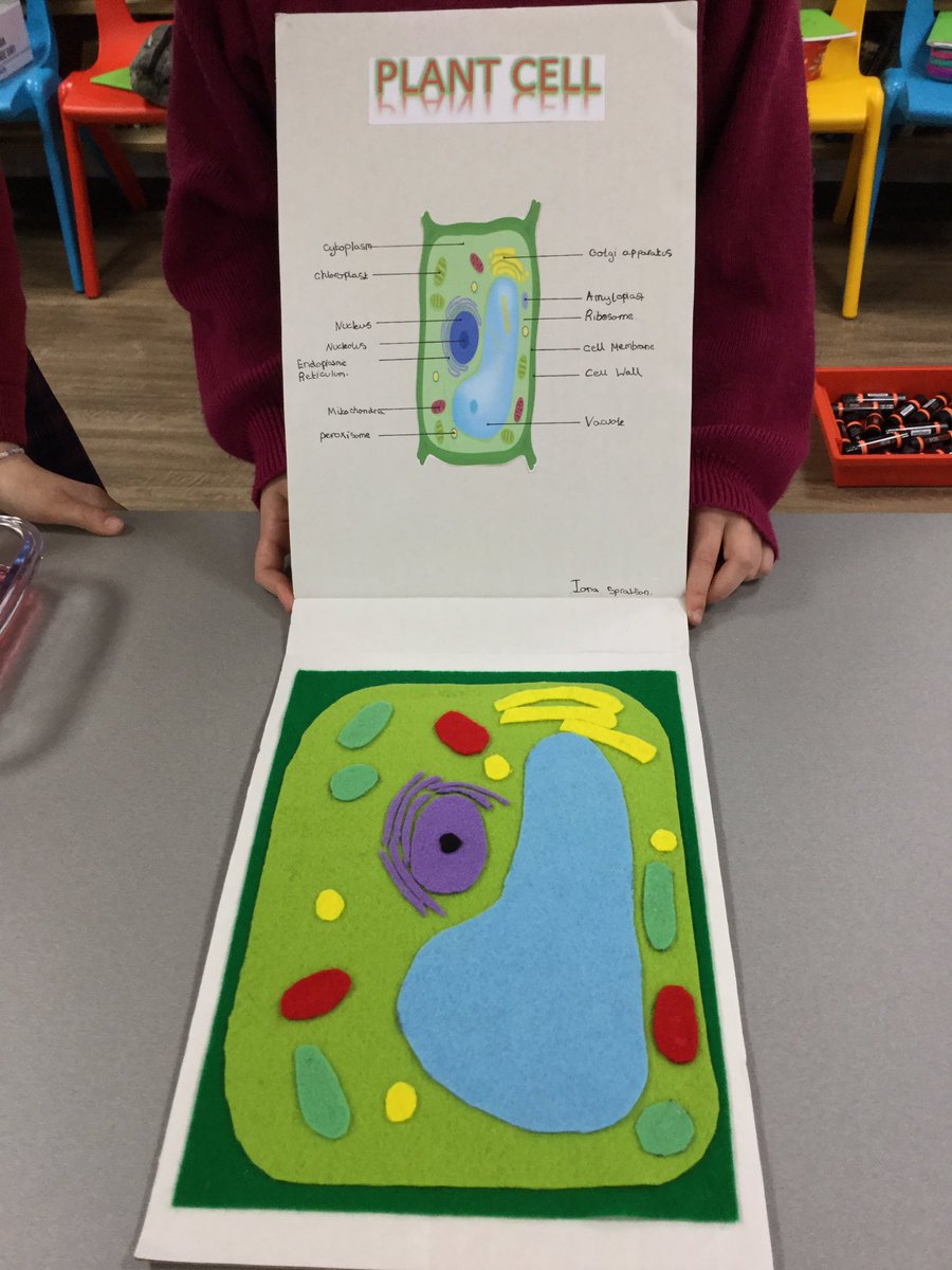 AHPrepHead's tweet photo. Great to see Year 5 exhibiting the knowledge of cells and their creativity today.  Some models were even edible. Roll on coffee time! #freedomtolearn #creativity #innovation https://t.co/bu8VUSGnKJ