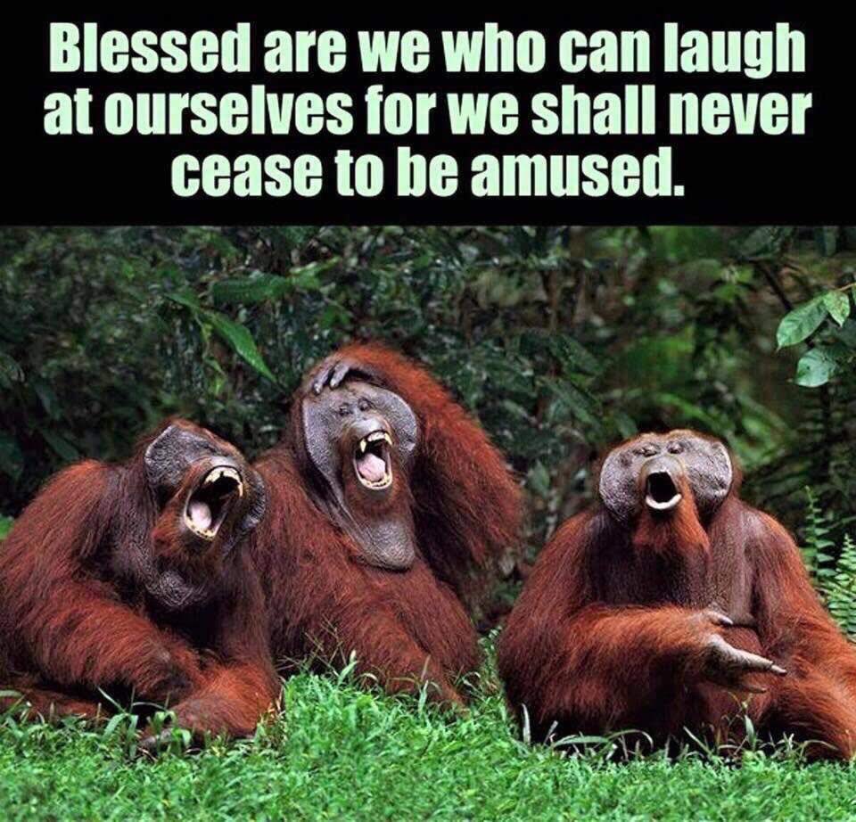 SoFlPeakers's tweet photo. #FunnyFriday #SouthFloridaPeakers #FloridaPeakersUnited #SupportInspireUnite #StrongerTogether #joinmpc2019
#mpc2019 #mypeakchallenge #peaker4life #PeakerStrong #PeakerProud #Peakership #CoachSam #ProudPeaker #FindYourPeak @samheughan @mypeakchallenge @valbo00 #valbod https://t.co/OBI8MNkWzu
