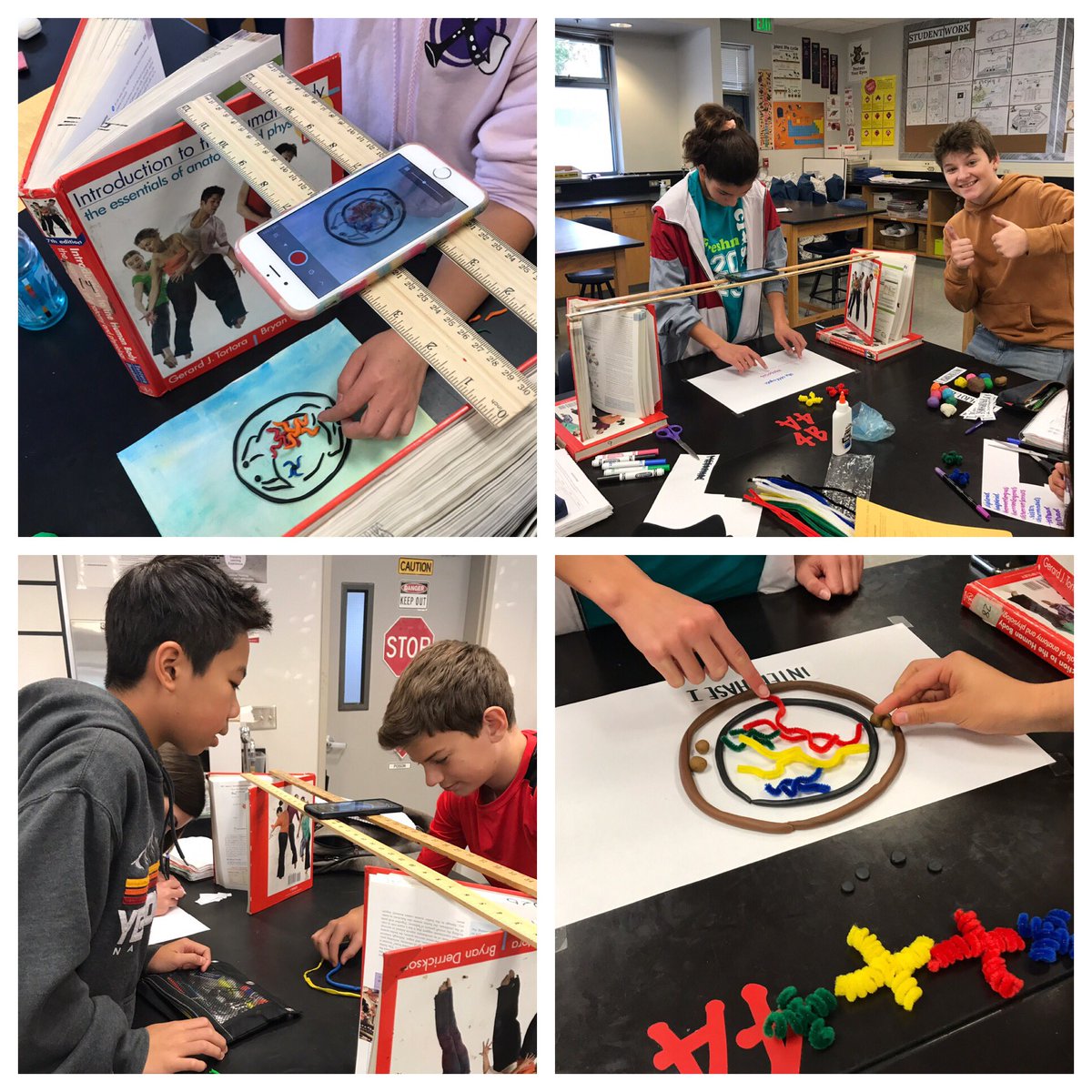 lee_science_shs's tweet photo. #stopmotionanimation #projects in the works in #biology class!! 🎥 #modeling of #meiosis and all of its intricate details! #videos coming!! #lgsuhsd #gofalconpower #gotogapower #lee_science_shs #teamwork #collaboration #practicemakesperfect https://t.co/yl7H7S57Kh