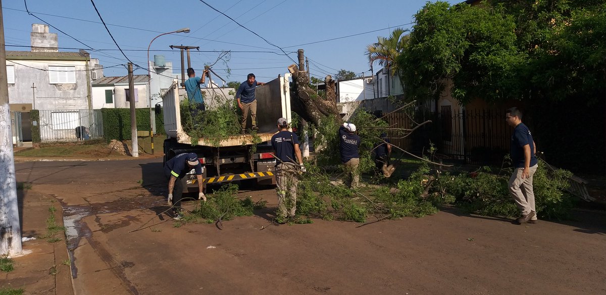 Apoyoygestion1's tweet photo. Tarea de poda en la chacra 138 
@muniposadas 
#GestionJoaquinLosada https://t.co/x8xA3tLALN