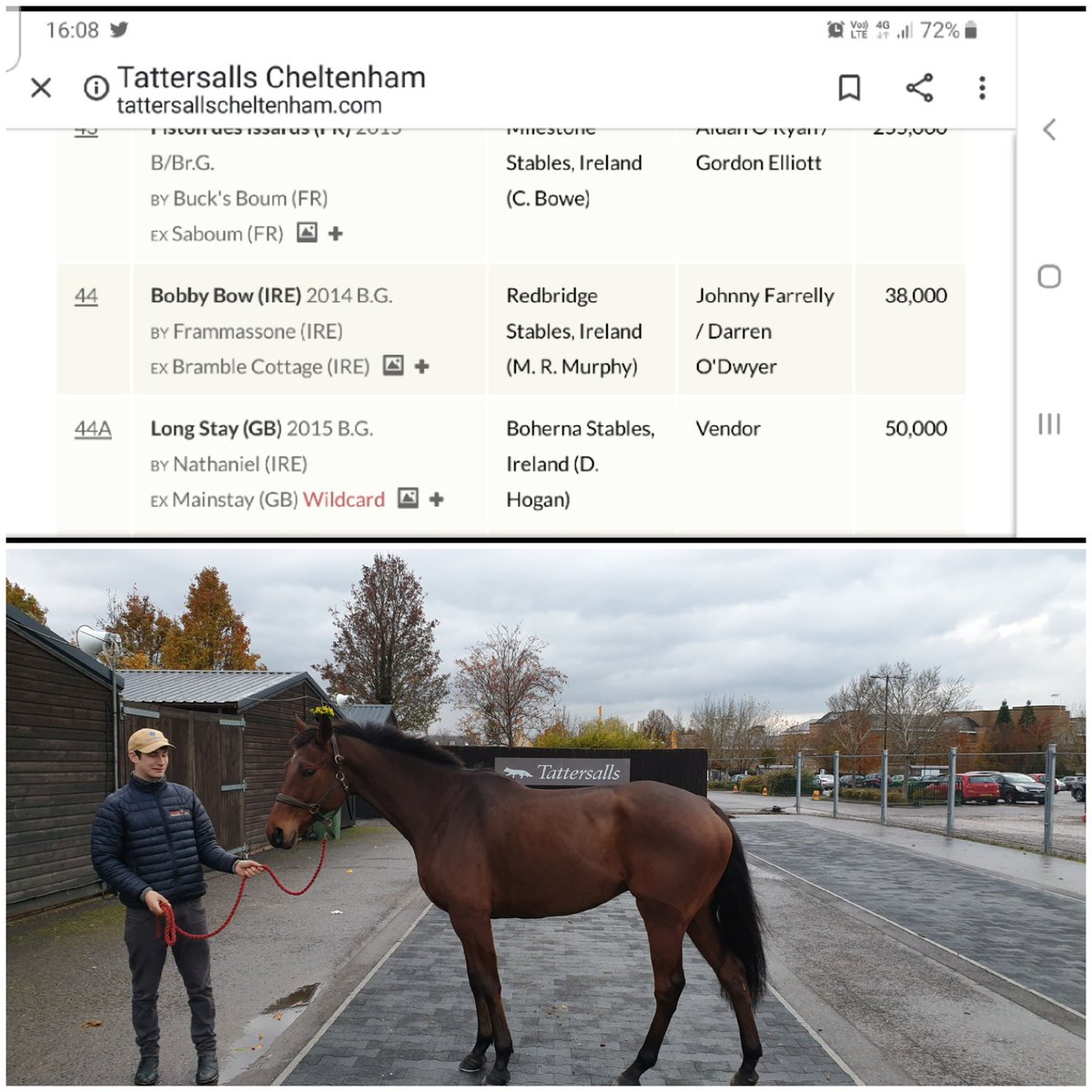 Congratulations to @lucamorgan99 and @johnnyfarrelly on there new purchased today at @tattscheltenham #fingercross