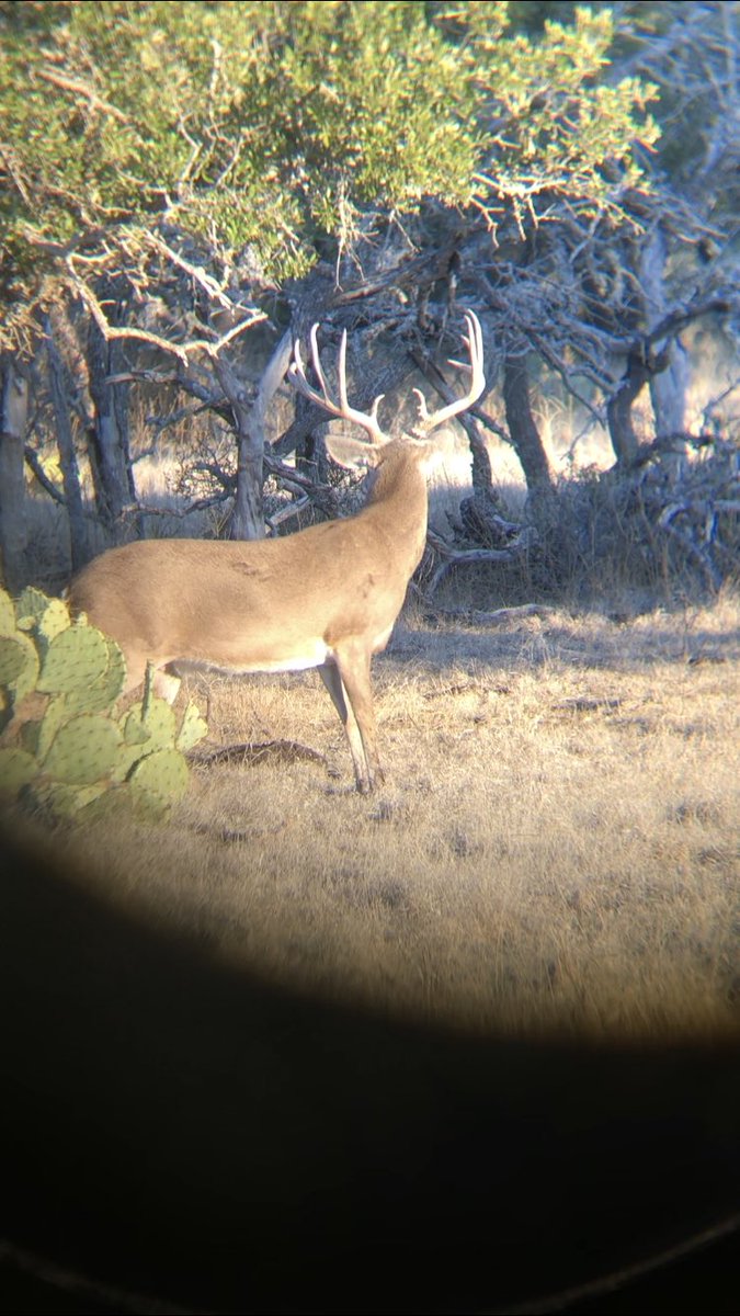 BannowskyLaith's tweet photo. Big managed native deer and better than pen raised deer any day. #dividecountry https://t.co/NfOUraPPlv