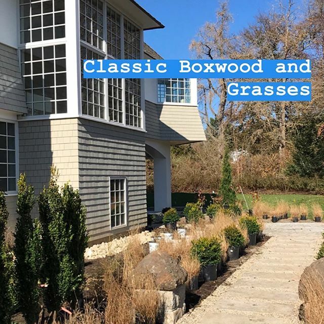 It’s a difficult time of year to do an install. I’m really pleased to see this landscape looking so beautiful going in - even though the grasses and hydrangeas are fading. #landscapedesign
#landscapedesigner #landscaping #landscape #gardendesign #gardend… ift.tt/2qgSYhx