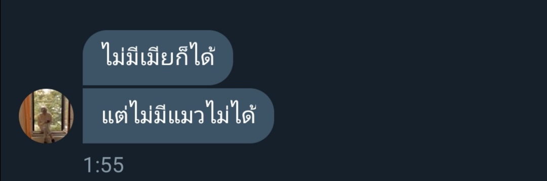 ꉣꋊꌚ​ ปัดฝุ่น tweet media