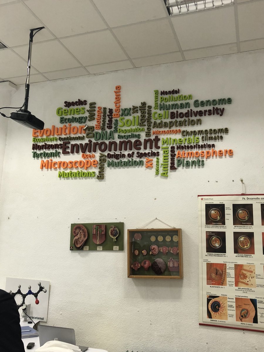 revillasjj's tweet photo. Gracias @SEKCiudalcampo por estos tres días de #BenchmarkingSEK con @CICAE_Educacion Han sido tres días de mucho aprendizaje para @ColegioSalliver https://t.co/ZzMilsl8p3