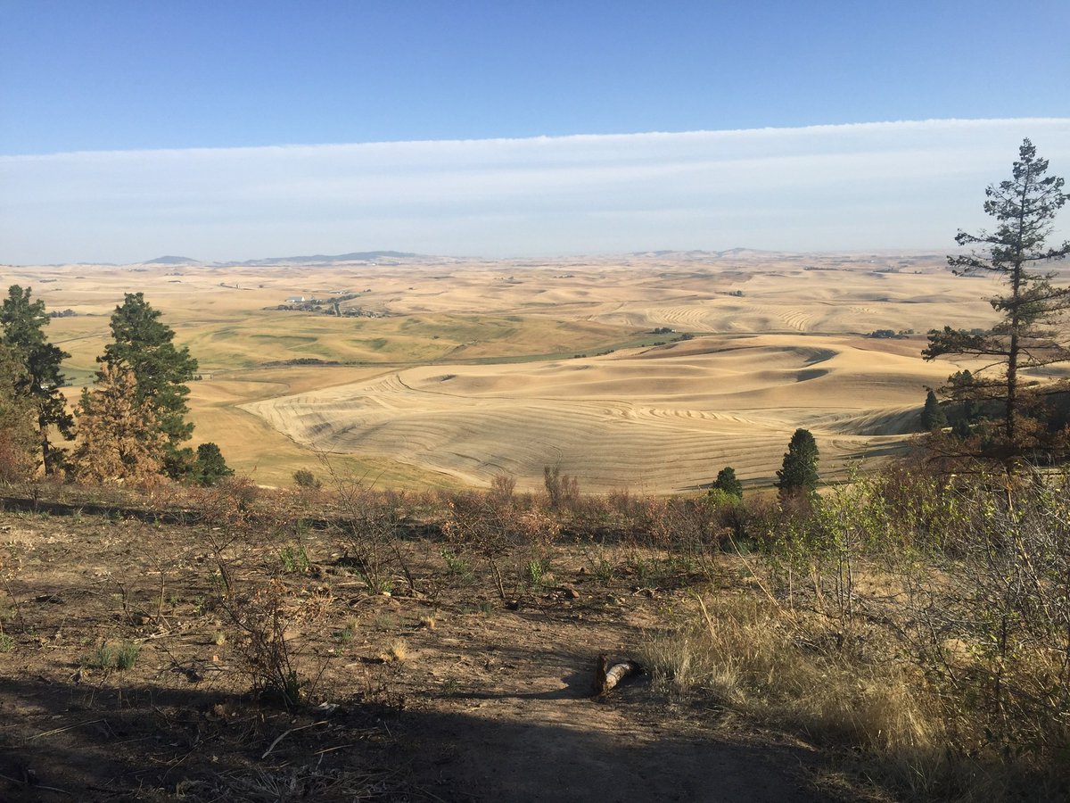 RT ExperienceWA: One of the few hiking opportunities in the area, #KamiakButte offers stunning views of the rolling Palouse Farmland. More info WTA_hikers!
Photo credit: RLucido, WTA website

Have you always wanted to visit #EasternWashington?