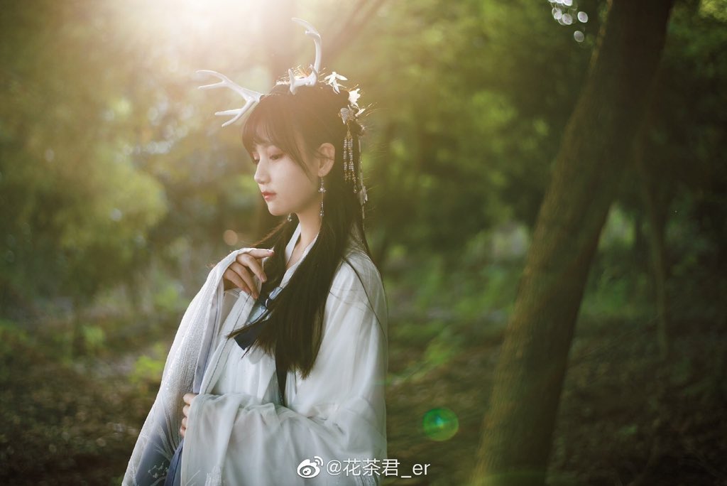 scented_tea_'s tweet photo. 忆江南
☁️
出镜@scented_tea_ 
☁️
摄影@2c
☁️ https://t.co/eUn78huN9m