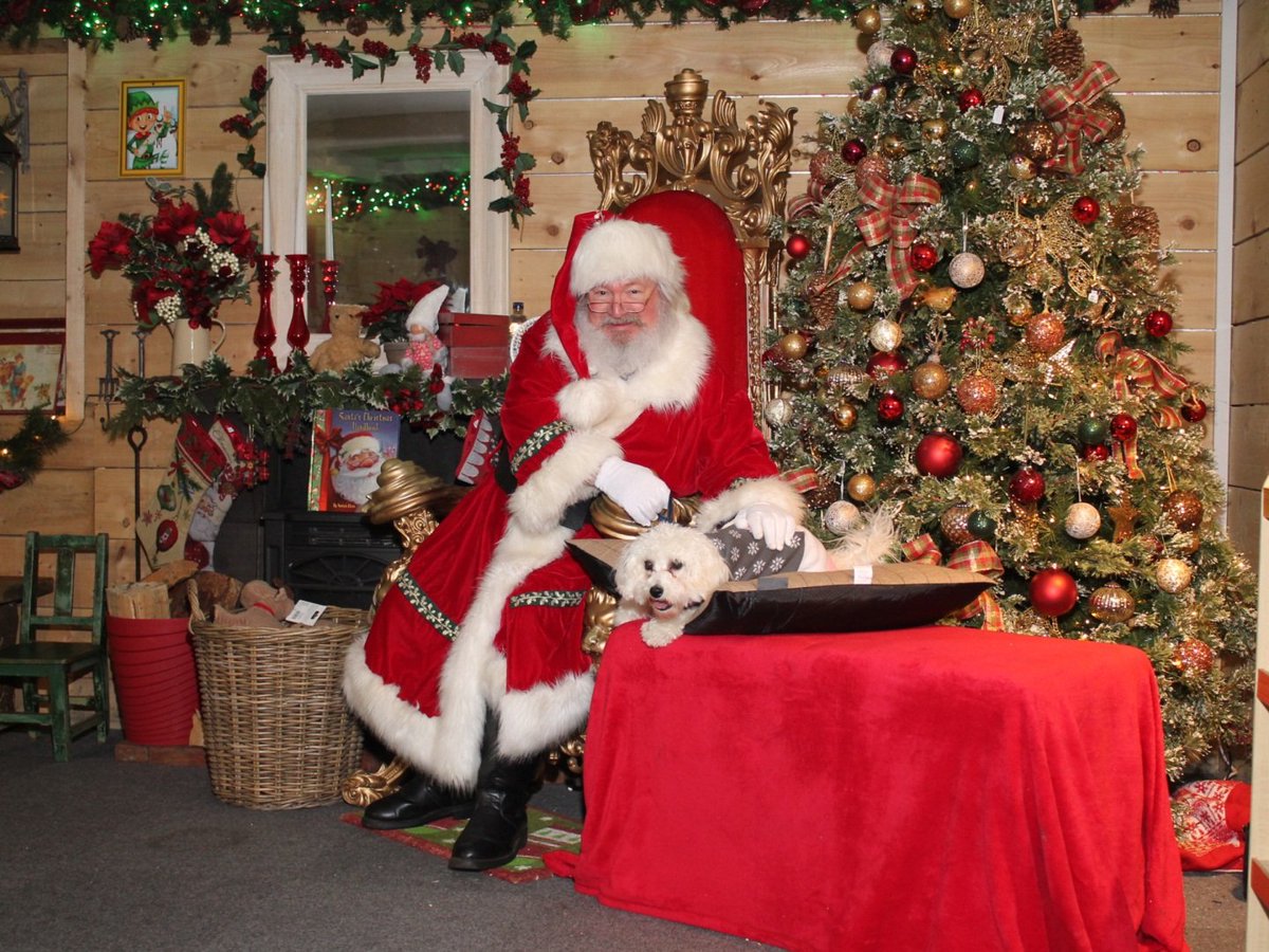 shootsystems's tweet image. Wishing all our Santa Grotto's a successful weekend.  Looking forward to seeing lots of happy faces. #photosystems #santa #grotto #software #Christmas