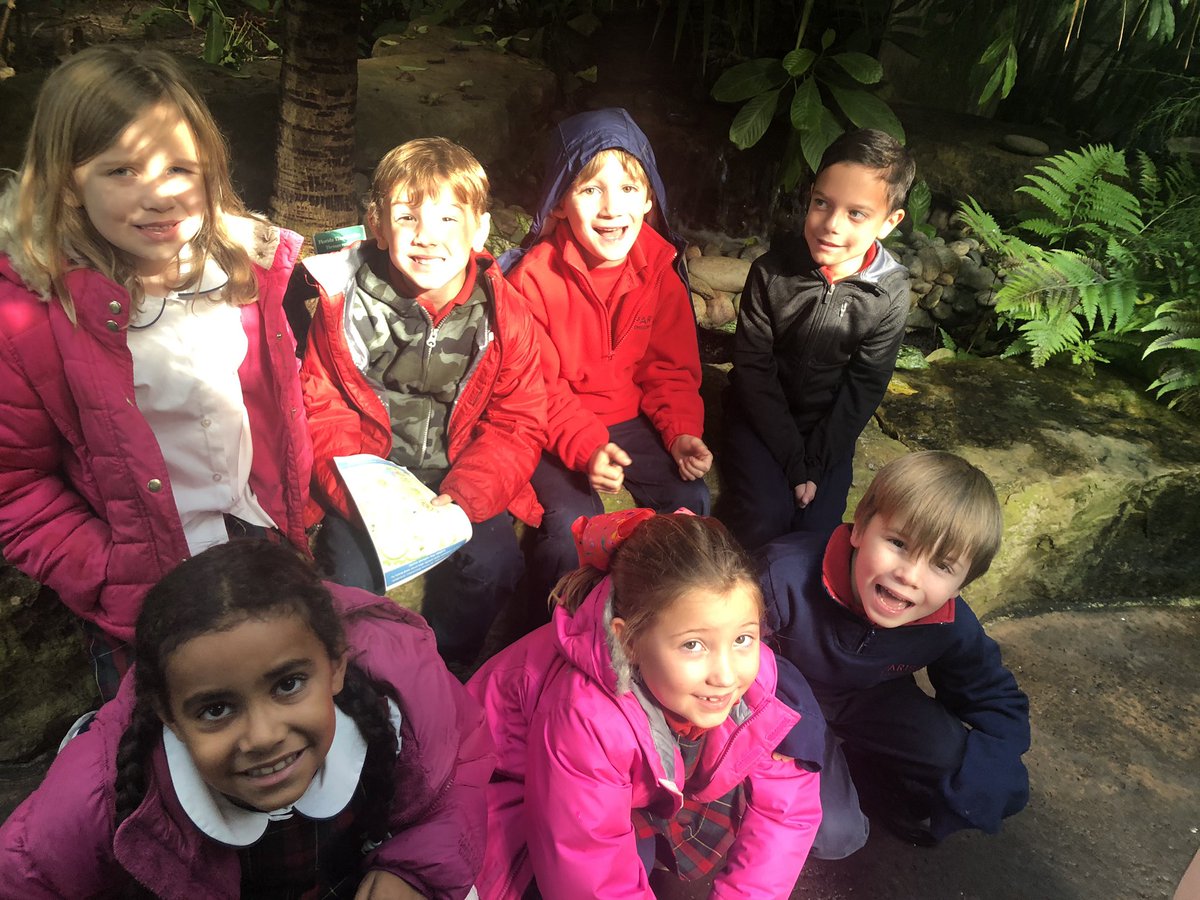 Catherine Sentell tweet media