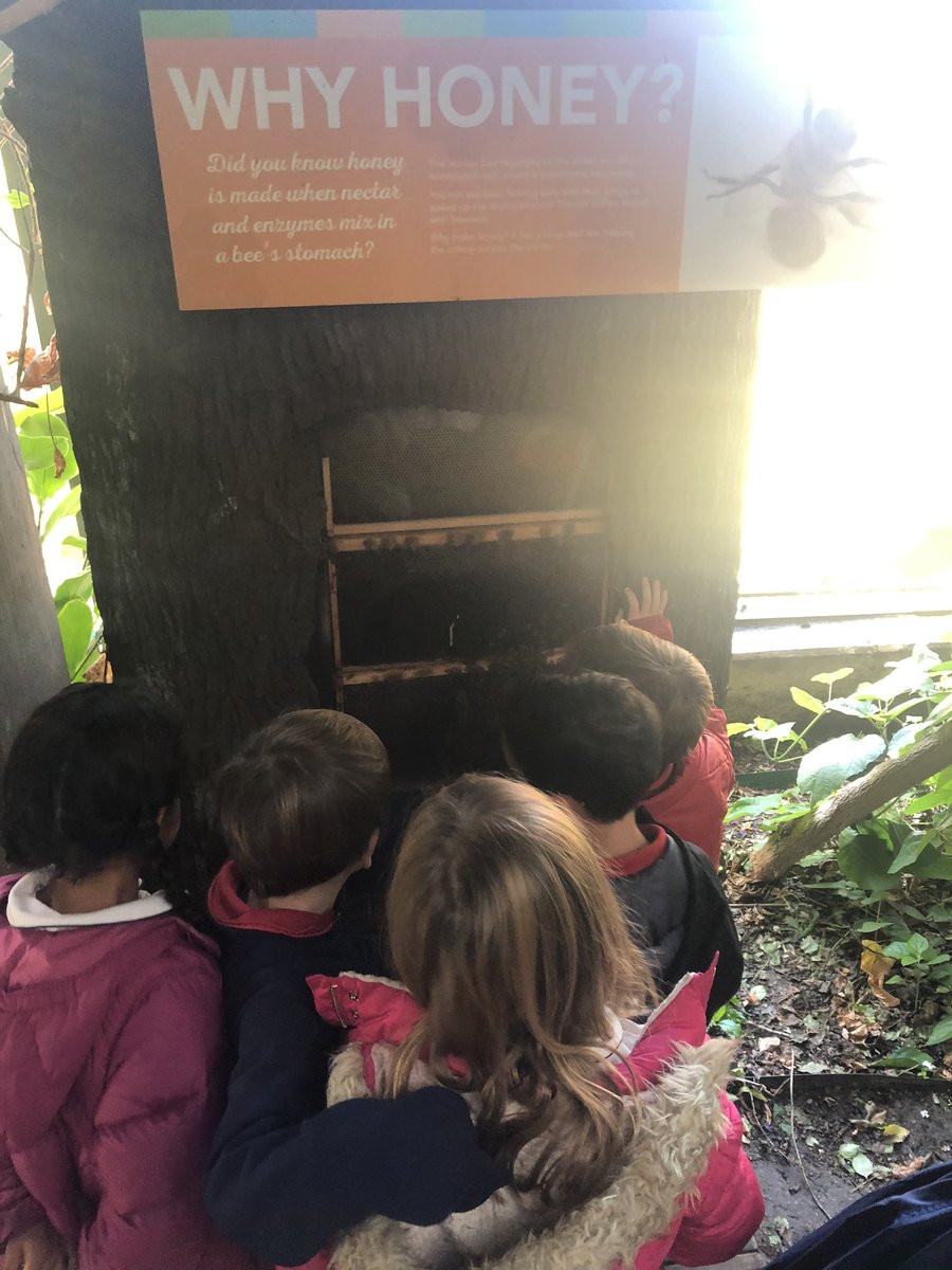 Catherine Sentell tweet media