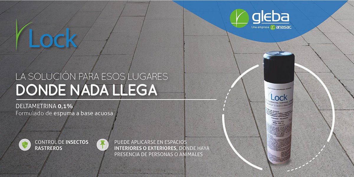 Ya probaste con LOCK?

#insectos #espuma #aerosol #insecticida #cucarachas #alacranes #hormigas #glebaambiental