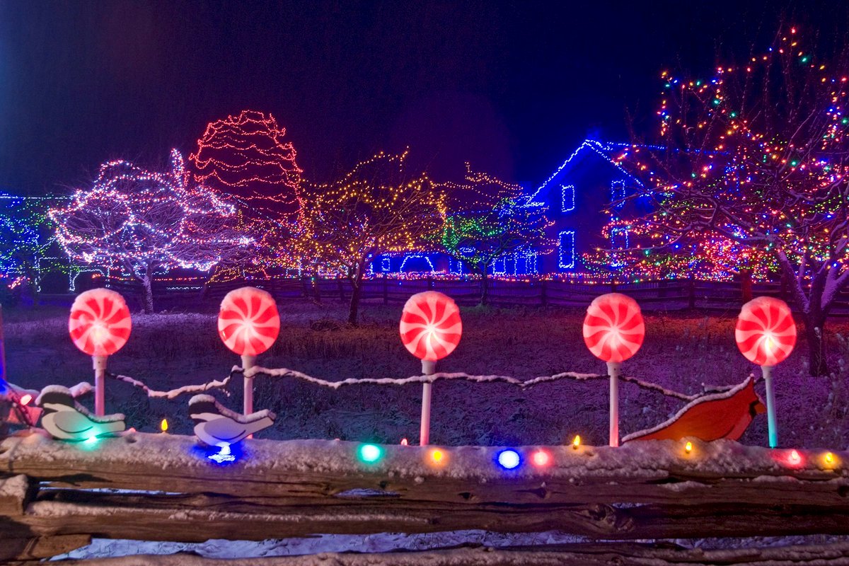 ontariokevin's tweet photo. Festival of Light celebrations begin this weekend in Ontario adding sparkle to your holiday season. Find a full list of lighting festivals happening across the province here:  https://t.co/EeaBTsoDTr
#DiscoverON https://t.co/SLMANOaUEa