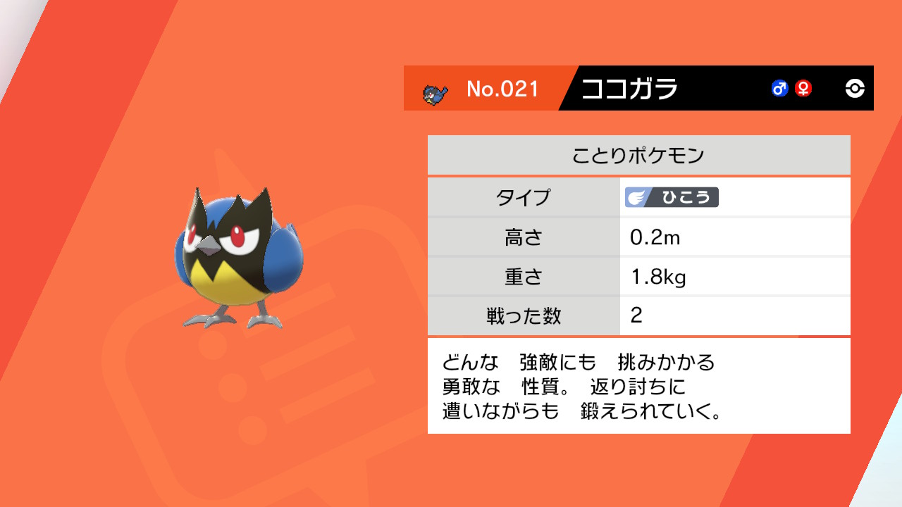 エルザ Na Twitteru ココガラget 性格は陽気で厳選 序盤の鳥ポケモンということで即スタメン入り ちなみに後4匹はまだ未定 ポケモン剣盾 エルザのポケモン剣盾 Nintendoswitch T Co Gytgzzrujq Twitter