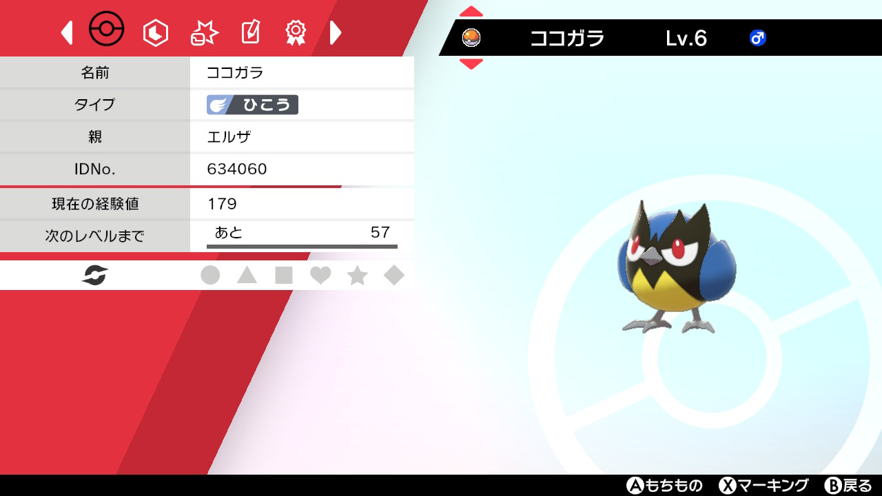エルザ ココガラget 性格は陽気で厳選 序盤の鳥ポケモンということで即スタメン入り ちなみに後4匹はまだ未定 ポケモン剣盾 エルザのポケモン剣盾 Nintendoswitch T Co Gytgzzrujq Twitter