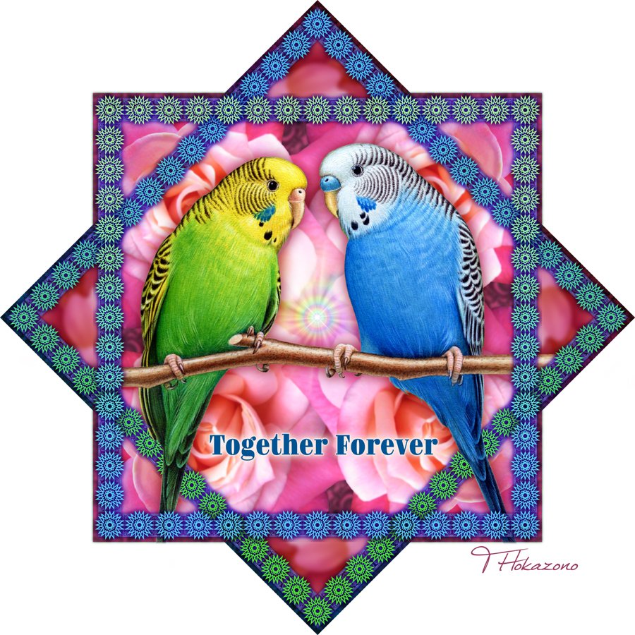 インコイラスト