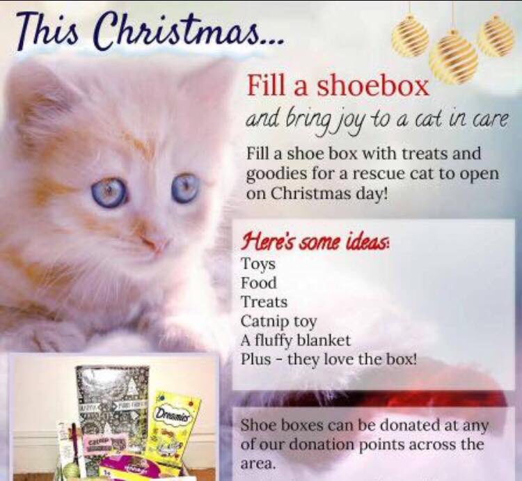 Christmas treats and food for the kitties much apreciated and can be dropped of <a href="/VetDarlington/">Darlington Vet Clinic</a>  or our fundraising store dabble duck Shildon DL4 2QN #catrescue #shildon #cats
