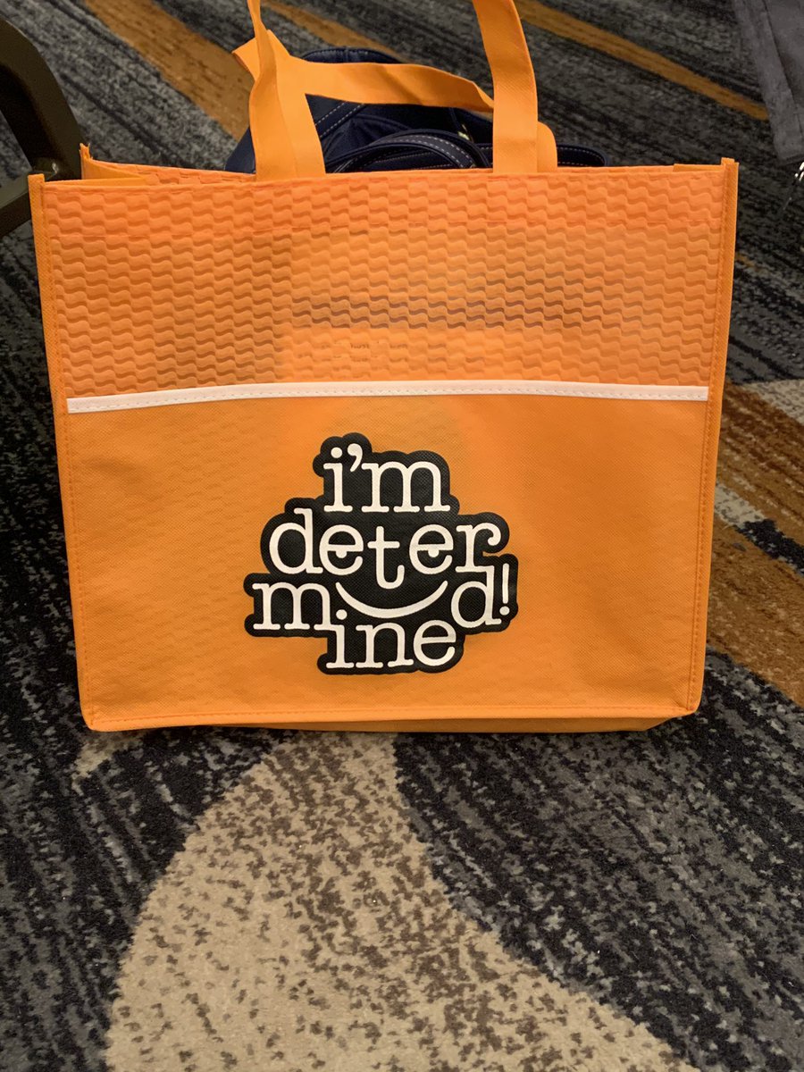 ChrysEstes's tweet photo. Attending the #ImDetermined conference with my team. We are fired up and ready to implement some new CR ideas to aid in addressing our students’ social emotional needs. Thanks to @smhollins and @JesseRodriguez for this amazing opportunity. @VDOE_News @RockyRunES #rr_bulldogs https://t.co/IkGSAW15pf