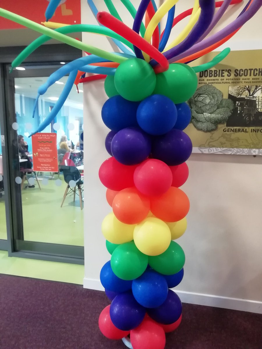 Visiting horses in Scotland