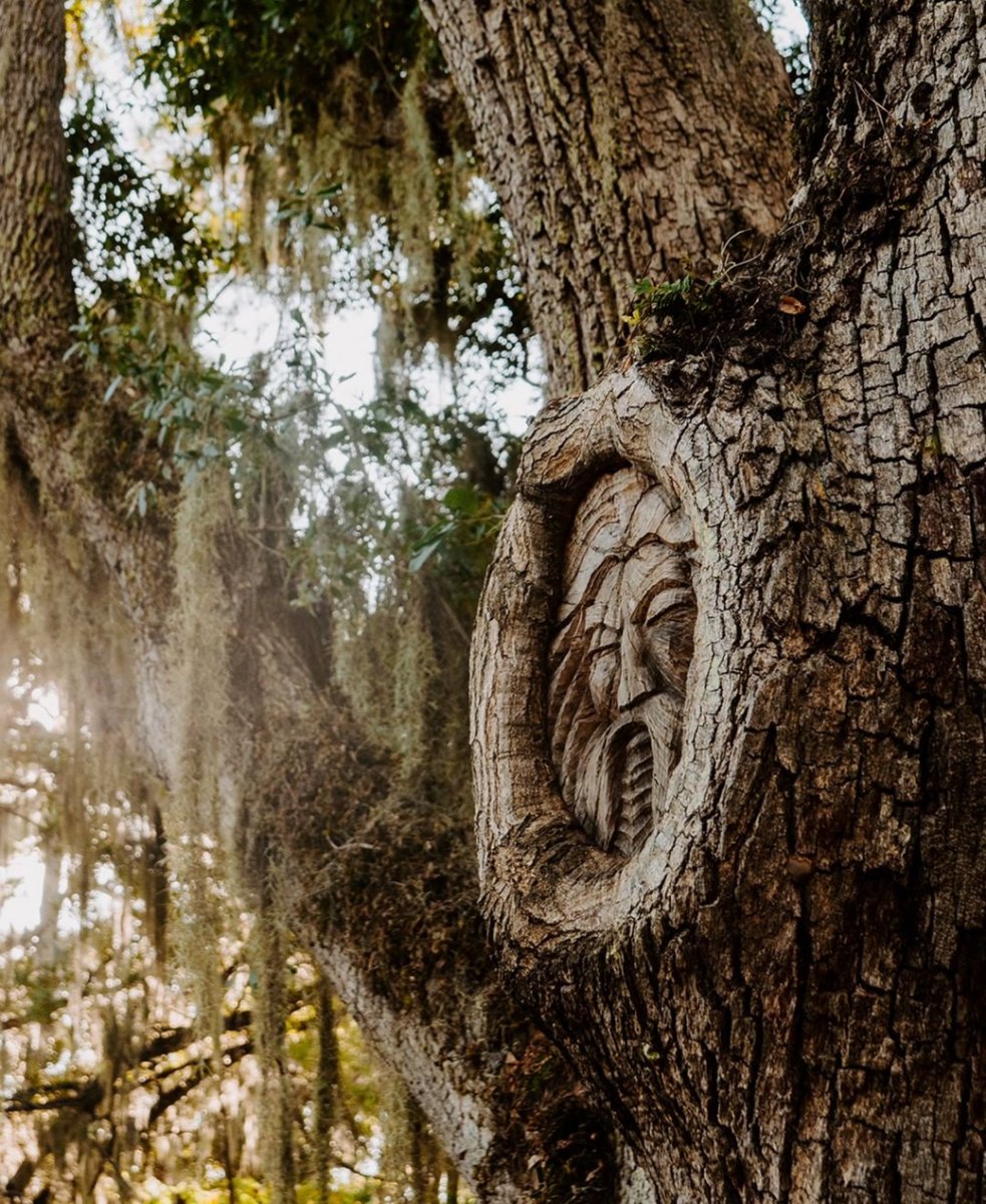 ❤️LOVE WHERE YOU LIVE❤️
📍 St. Simons Island, GA
<a href="/GoldenIslesNews/">Golden Isles Georgia</a> 
Search for the hidden, magical tree spirits in the trees of St. Simons Island.

Check out this neighborhood here: bit.ly/34XzMnM