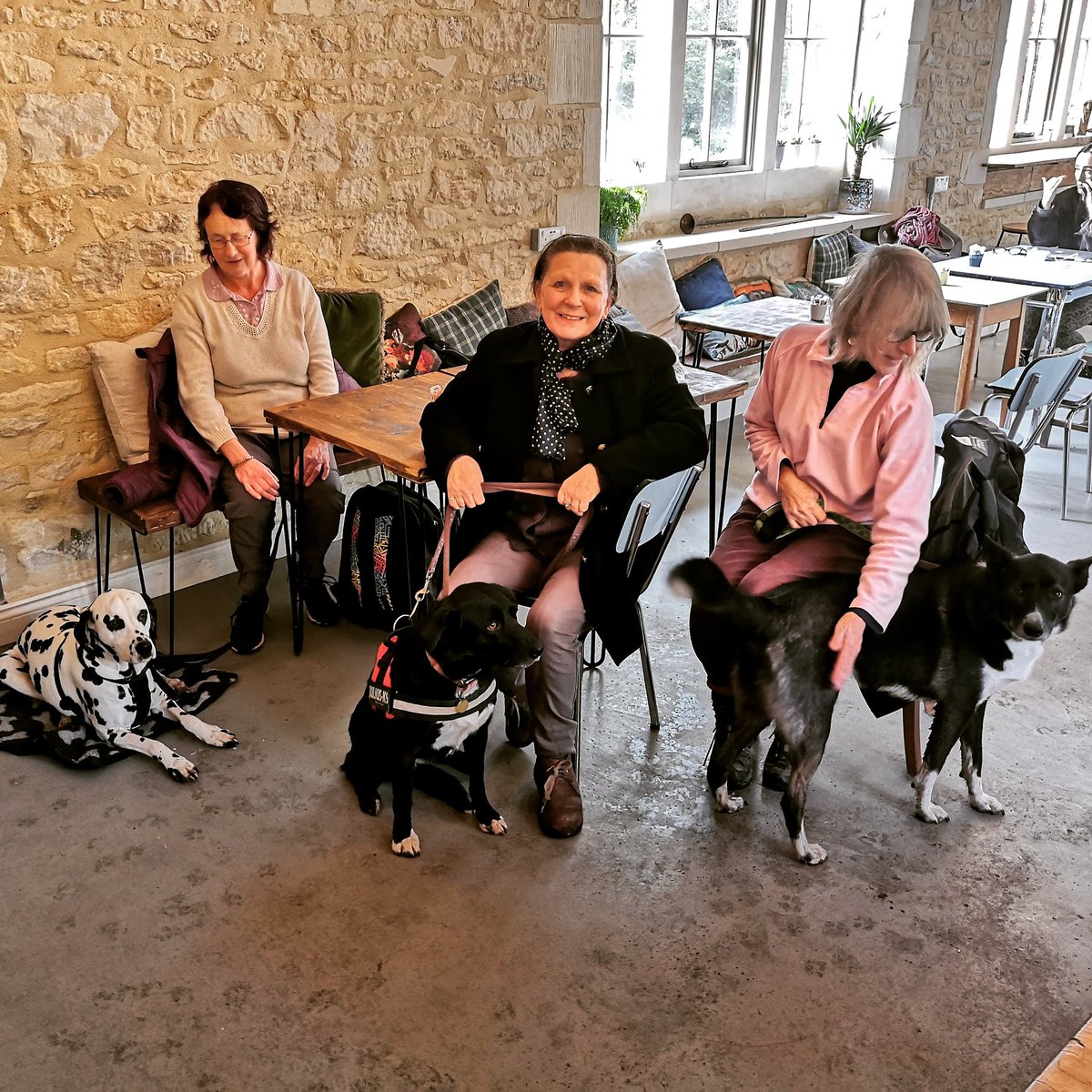 The three amigos heard we had Portuguese tarts at Felt Cafe but opted for our free dog biscuits instead..
#portuguesetart #cotswoldcafe #feltcafe #dogfriendlycafe