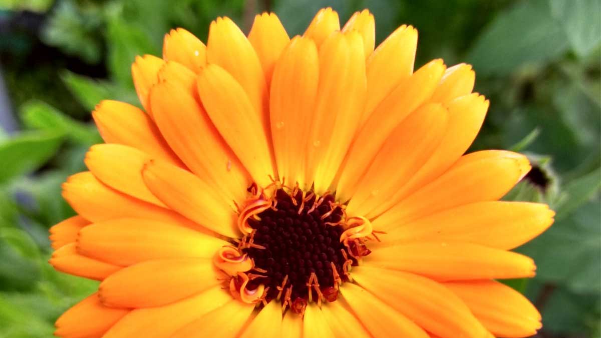 verticalscreen's tweet image. #TGIF!  Hope everyone has a great Friday and weekend!  Enjoy the... cold weather and scattered rain showers?  🤷‍♀️