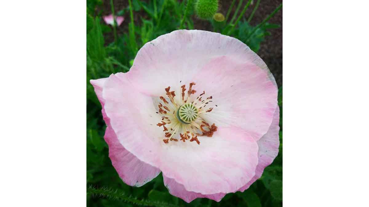 verticalscreen's tweet image. #TGIF!  Hope everyone has a great Friday and weekend!  Enjoy the... cold weather and scattered rain showers?  🤷‍♀️