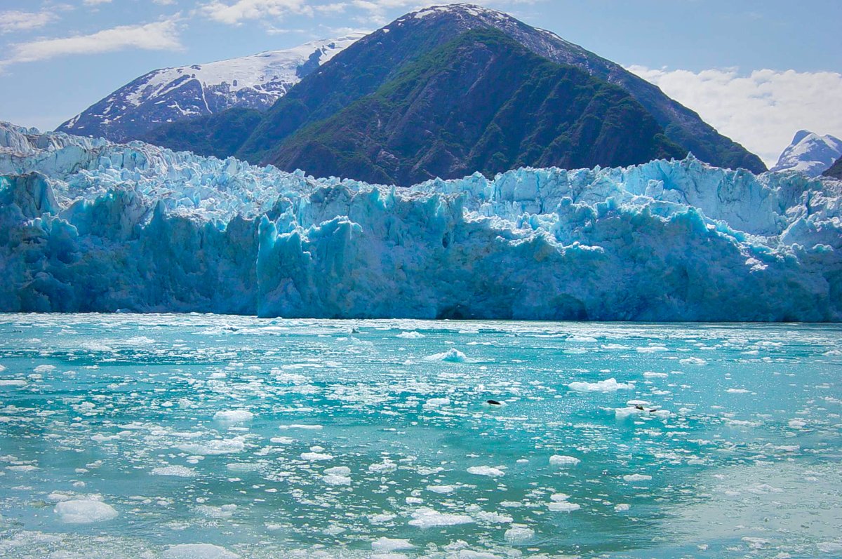 ChillieFalls's tweet photo. Carnival Miracle 10 night Alaska cruise from San Francisco sailing May 11. #tracyarm https://t.co/iGF1Hf2qZ7 https://t.co/lFrlHOvO9W