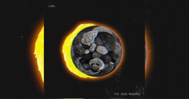 Sara Ashton tweet media