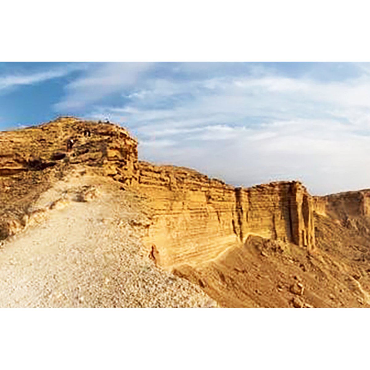 Coen+Partners tweet media