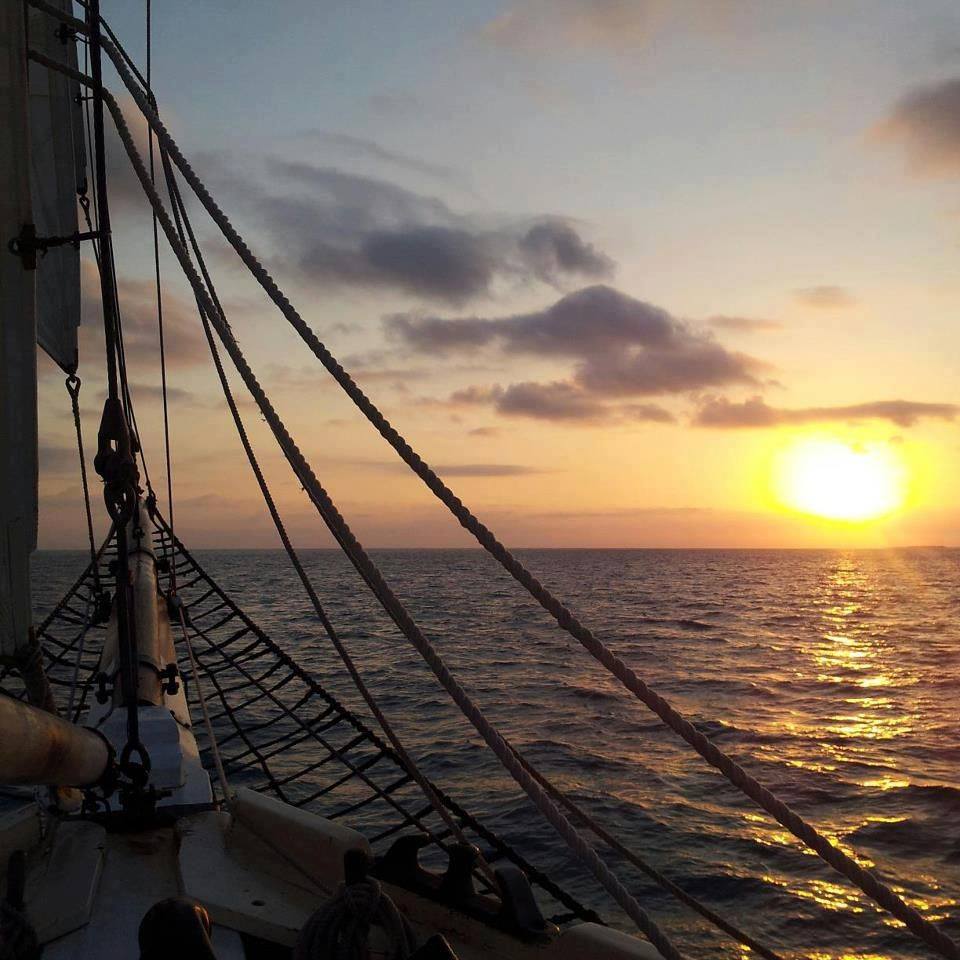 A little sunset magic to get you into #Friday mode. #fridayfeeling #sunsetsail #keywest